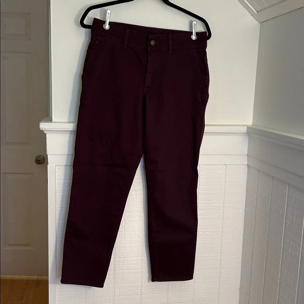 The North Face Dark Purple Ankle Chino Pants size Women’s 2
